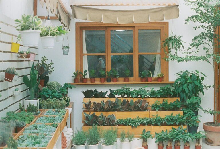 Cum să creezi un colț verde acasă: sfaturi pentru grădinăritul în spații mici